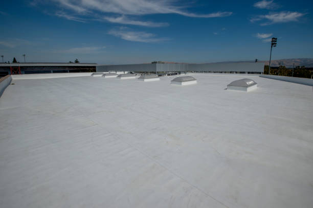 Best Steel Roofing  in Gibraltar, MI