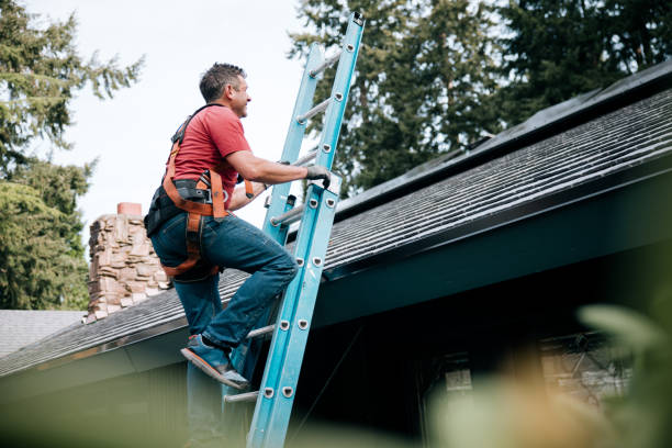 Best Rubber Roofing (EPDM, TPO)  in Gibraltar, MI